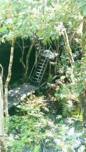 tulum-cenotes-the-pit-steps